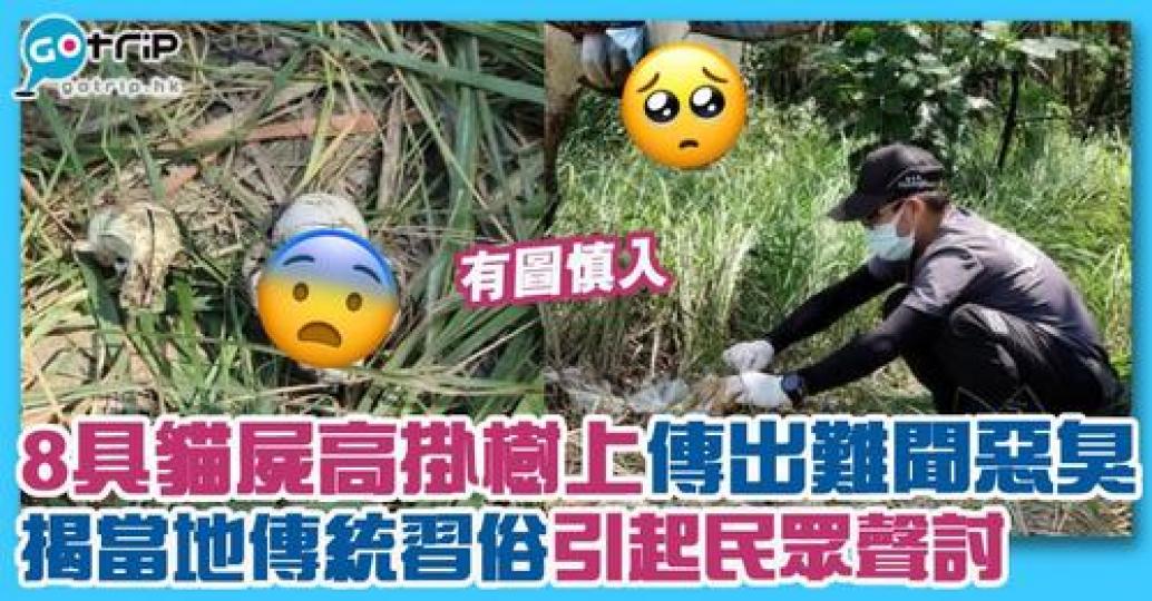 詳情： https://www.gotrip.hk/662861/...