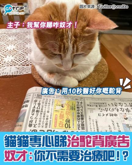 主子嘅心思真係難以猜度......