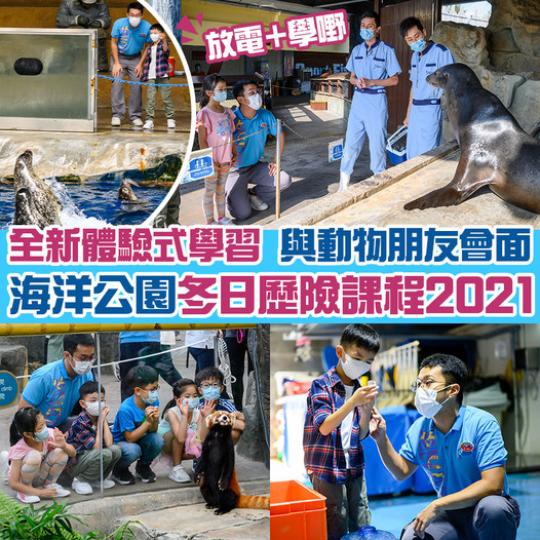 4-11歲小朋友有福了！海洋公園冬日歷險課程2021開始啦...