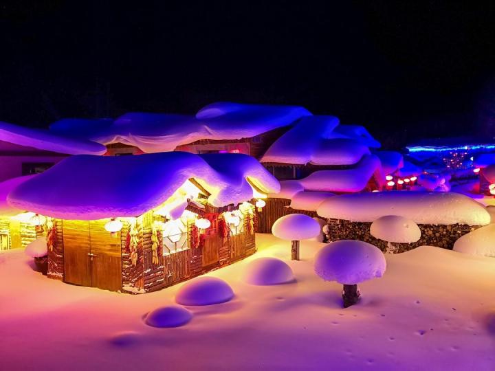 【雙峰林場雪鄉】蘇雯珊／攝...