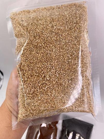 為"超級食品superfood "的藜麥
好多人做沙律，撈米一齊煮，製作麵包等等...