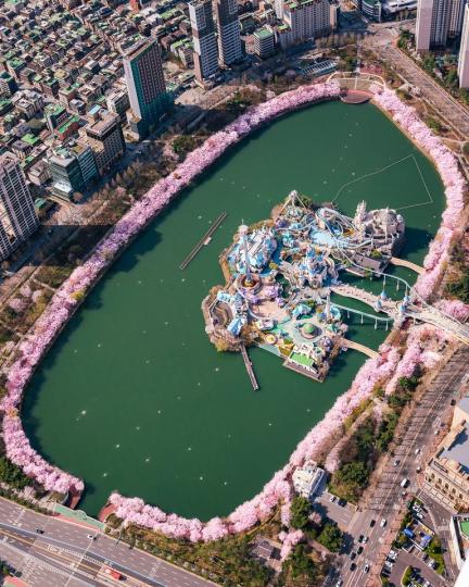 被粉嫩櫻花包圍的夢幻遊樂園...