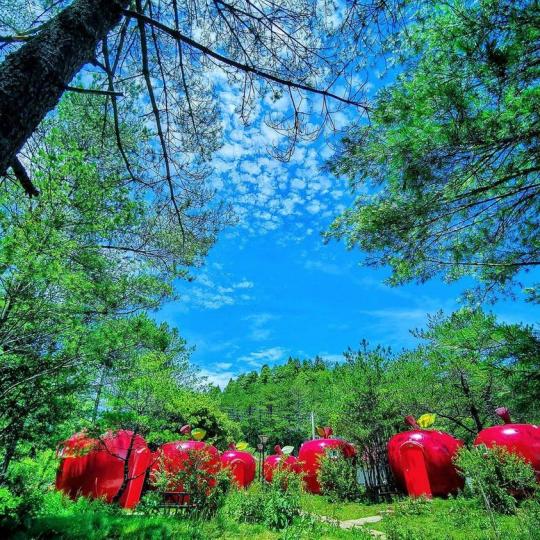 空氣清新的福壽山農場...