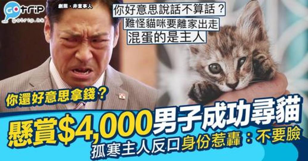 有網民分享自己為鄰居搵返愛貓嘅故事...