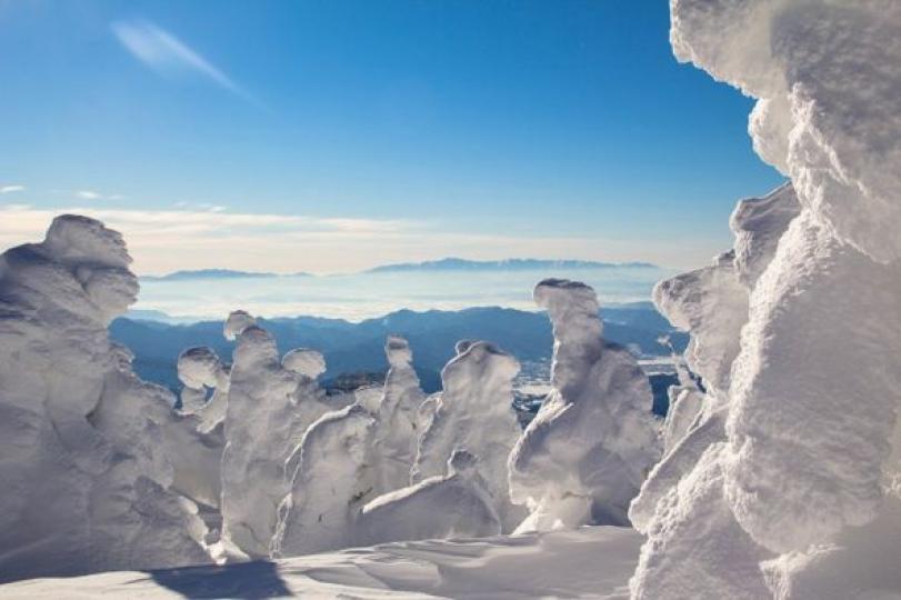 日本優質的雪擁有著非常高的人氣...