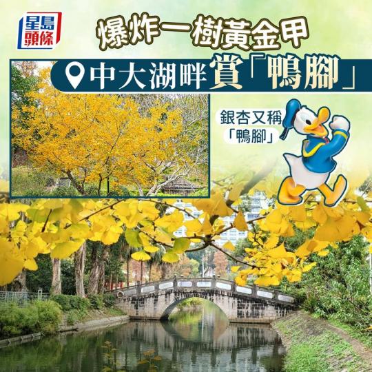 好有詩意~ bit.ly/3ilWhix...