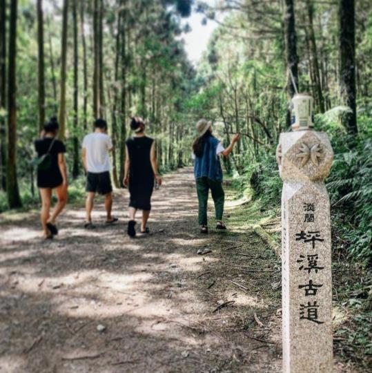 漫步在森林間、徜徉在芬多精中...