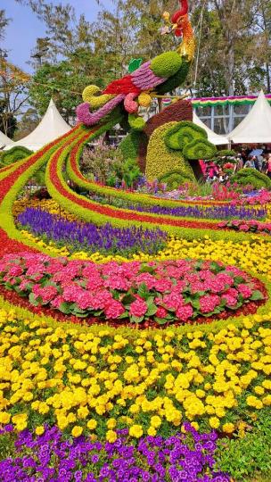 花展 維園 重溫.......