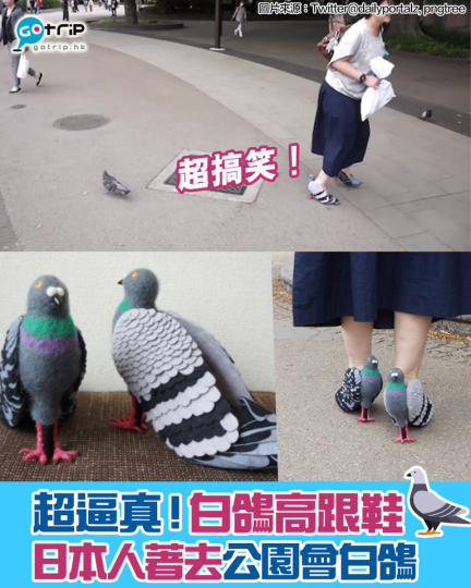 最近Twitter熱傳呢對「鴿子高跟鞋」,其實呢對鞋係一位手作達人用羊毛氈自製,佢仲將製成品親自試穿,著去公園會白鴿,超搞笑... 最近Twitter熱傳呢對「鴿子高跟鞋」,其實呢對鞋係一位手作達人用羊毛氈自製,佢仲將製成品親自試穿,著去公園會白鴿,超搞笑...