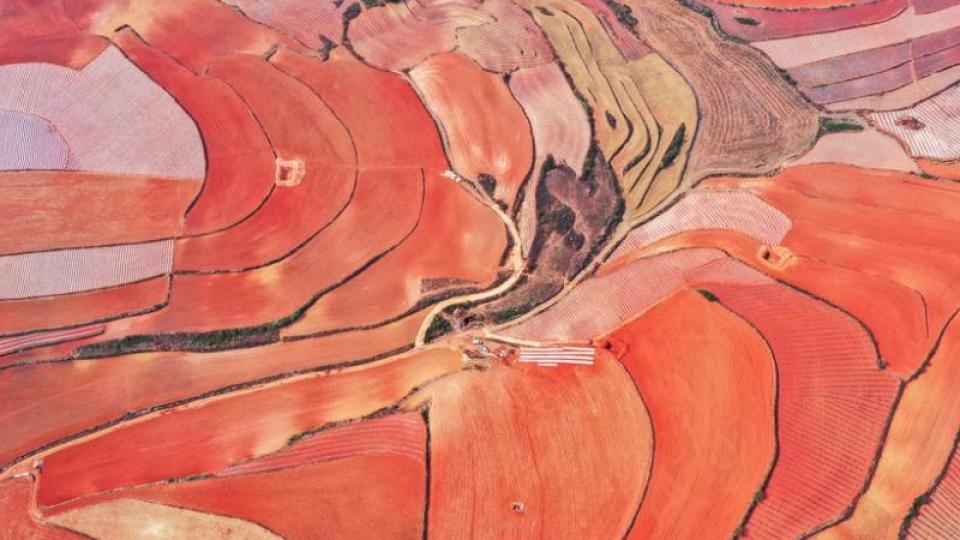 雲南尋甸：紅土地織就多彩夢...