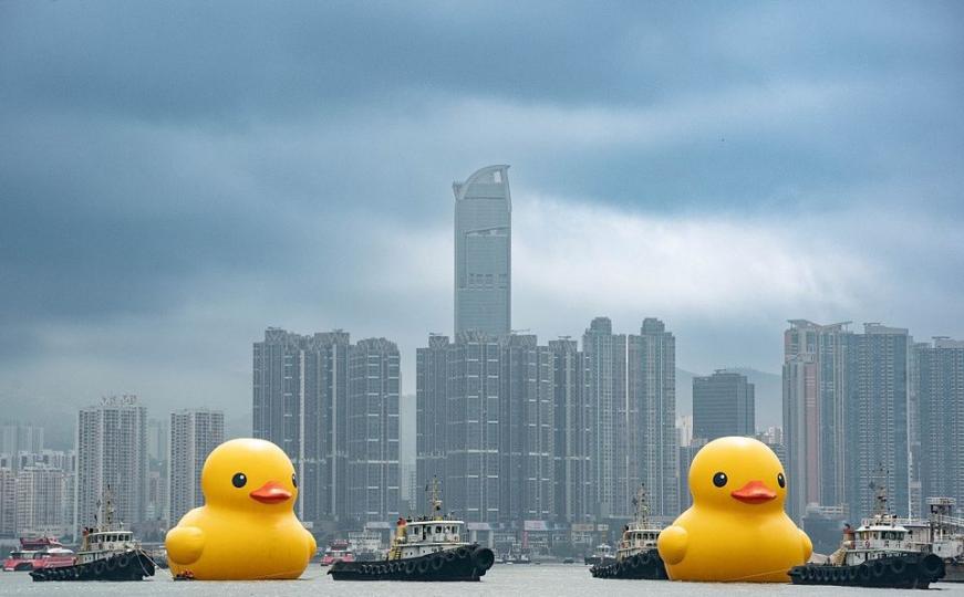時隔十年 巨型橡皮鴨再次來到香港維多利亞港...