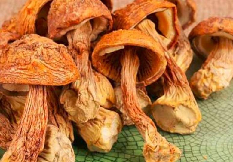 姬松茸菇原産巴西,又稱
巴西蘑菇,它含多種氨基
酸、人體必需微量元素.
多種維生素、松茸多醣.
松茸多肽和抗癌物質松
茸醇等營養物質,研究證
實有降膽固醇.降血脂.
降血糖.改善肝功能提高
身體免疫能... 姬松茸菇原産巴西,又稱
巴西蘑菇,它含多種氨基
酸、人體必需微量元素.
多種維生素、松茸多醣.
松茸多肽和抗癌物質松
茸醇等營養物質,研究證
實有降膽固醇.降血脂.
降血糖.改善肝功能提高
身體免疫能...