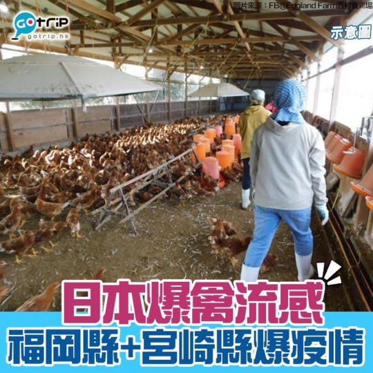 日本福岡縣、宮崎縣爆禽流感疫情，詳情：https://www.gotrip.hk/596134/...