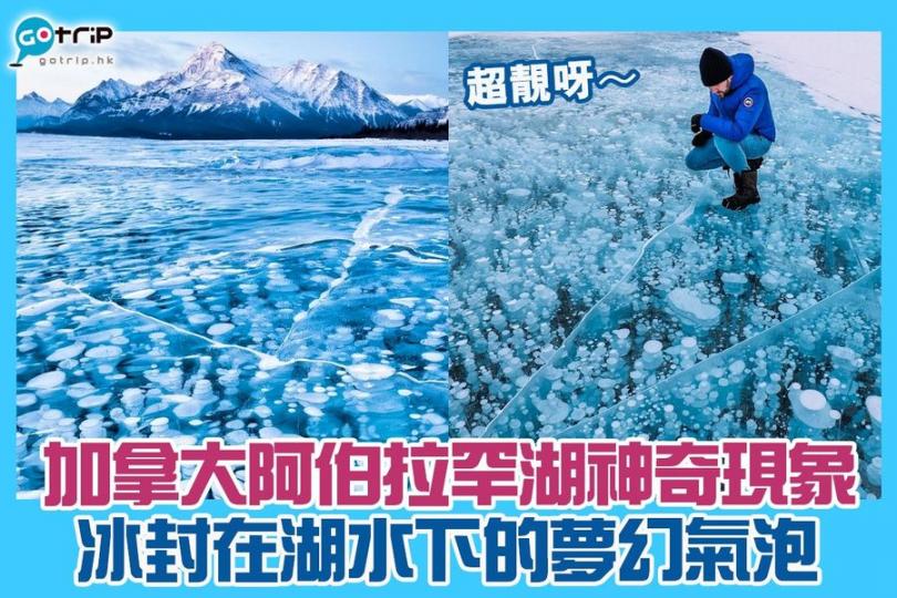 每年冬天,加拿大亞伯拉罕湖(Abraham Lake),都會出現神奇氣泡湖現象。據聞是湖底植物不斷釋放沼氣,但天氣太凍而凝結成冰泡... 每年冬天,加拿大亞伯拉罕湖(Abraham Lake),都會出現神奇氣泡湖現象。據聞是湖底植物不斷釋放沼氣,但天氣太凍而凝結成冰泡...