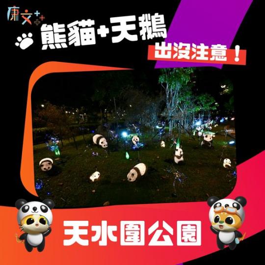 可愛熊貓➕優雅天鵝......