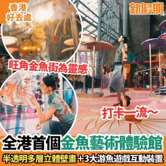 全港首個金魚藝術體驗館登陸旺角...