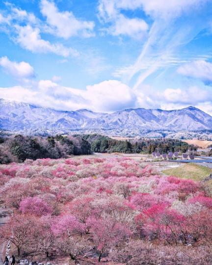日本的5大絕美雪景美到像夢境
👉https://com543.com/r/NZ251V9H...