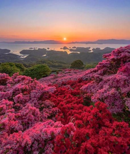日本最大花園竟是米其林三星景點...