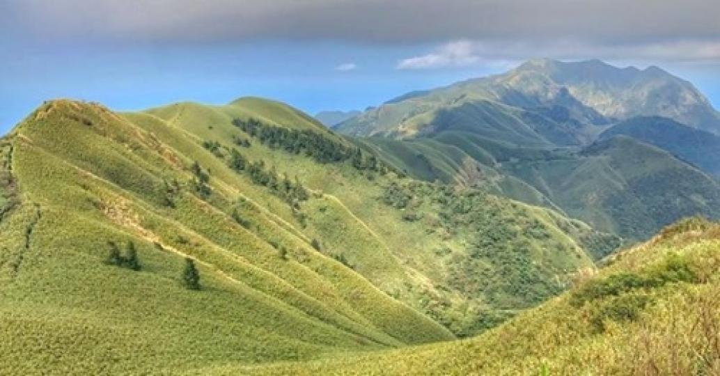 想去抹茶山不用跑宜蘭啦.....