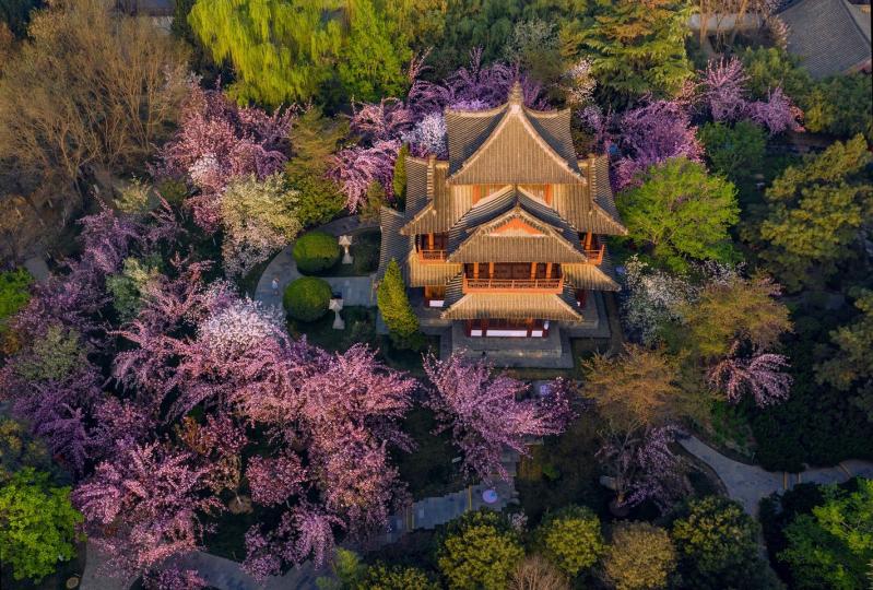 花中藏古寺 射虎／圖...