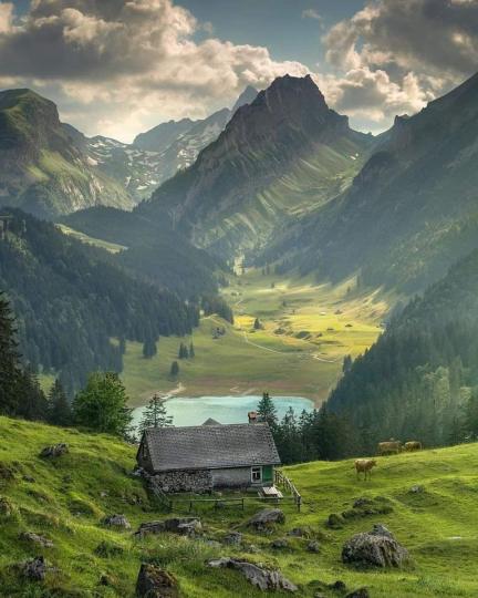 瑞士 Switzerland ☘️🌿...