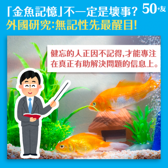 外國就有研究指，健忘的人可能比一般人更聰明...