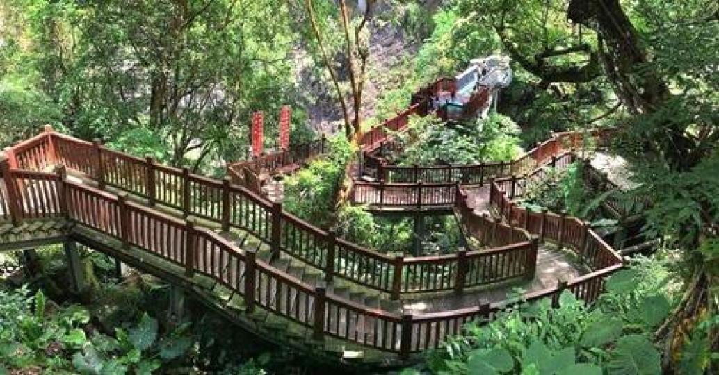 可以感受滿滿芬多精圍繞在身邊...