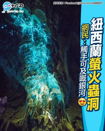 紐西蘭嘅螢火蟲洞實在太靚啦...