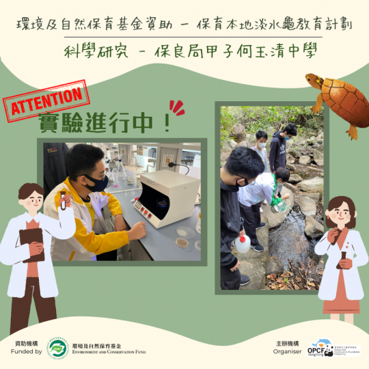 環境及自然保育基金資助 - 保育本地淡水龜教育計劃...