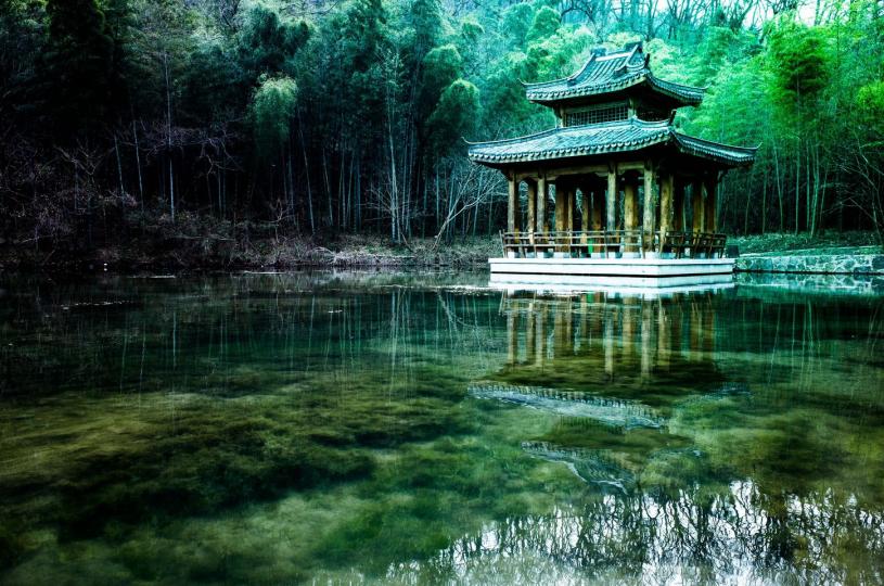 法國印象派畫家莫奈，晚年畫了250餘幅《睡蓮》...