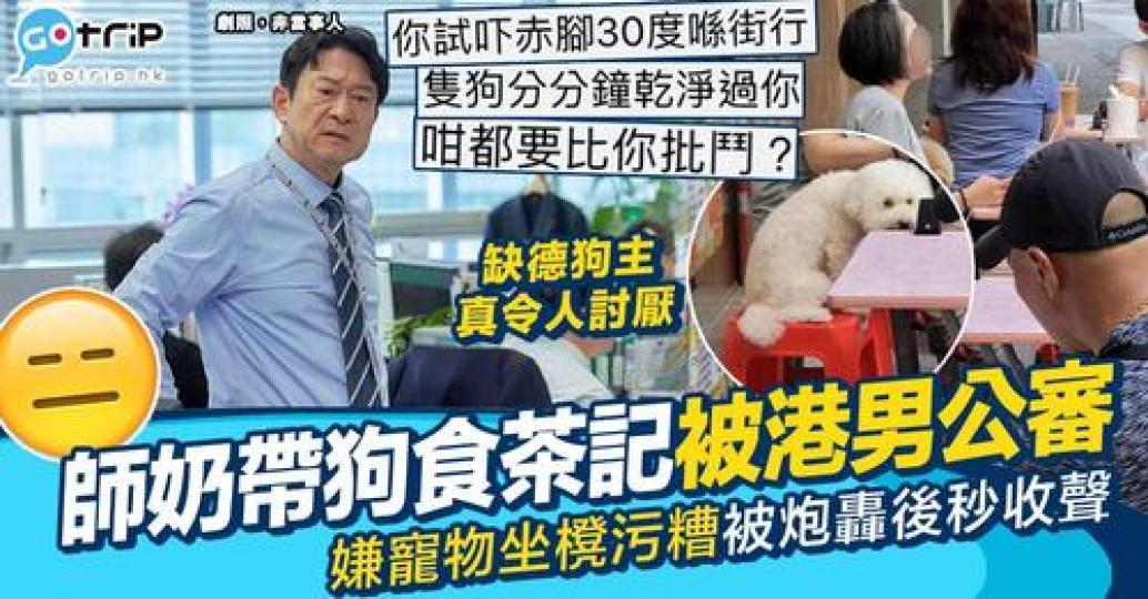 愛狗心切嘅狗主喺外用餐嘅時候畀愛狗坐喺座位上...
