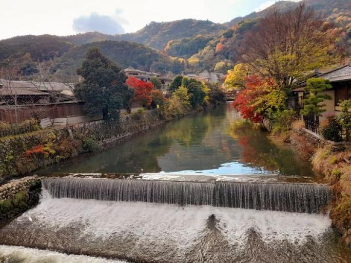 京都嵐山,平日好多人,皆因景實在太靚啦...