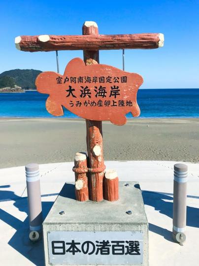 紅海龜故鄉🐢大濱海岸...