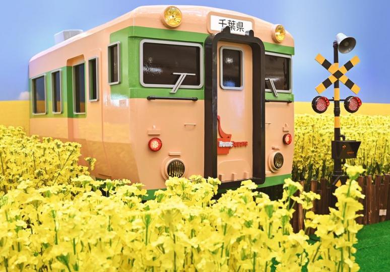 新春同遊千葉縣油菜花田...