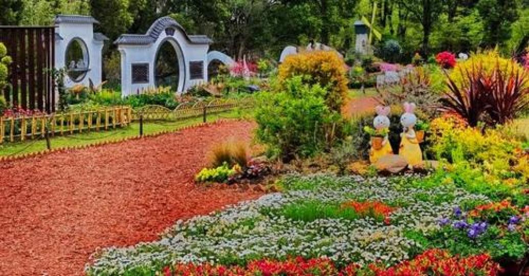 Get ready for a breathtaking display of natural beauty at the flower show at the #Shanghai Gongqing ... Get ready for a breathtaking display of natural beauty at the flower show at the #Shanghai Gongqing ...