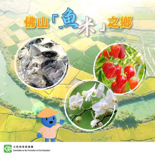認識「魚米之鄉」— 佛山...