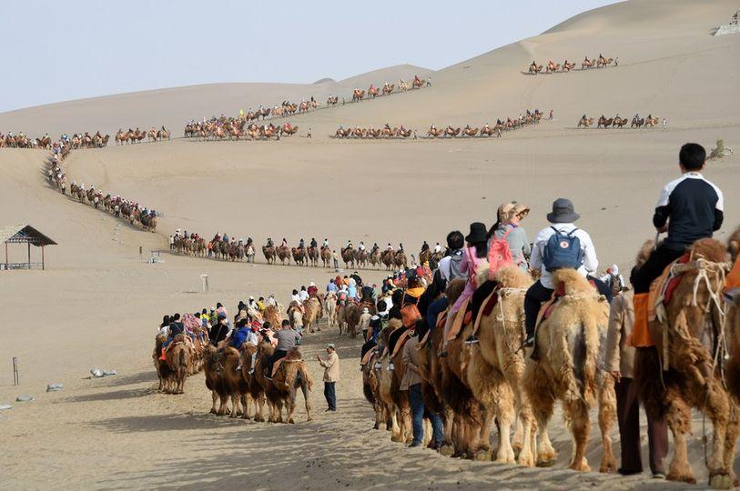 Embark on an enchanting camel journey through Dunhuang's mesmerizing desert oasis!... Embark on an enchanting camel journey through Dunhuang's mesmerizing desert oasis!...