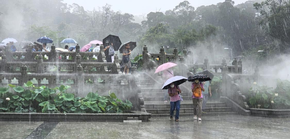 霧裡看花 .........
