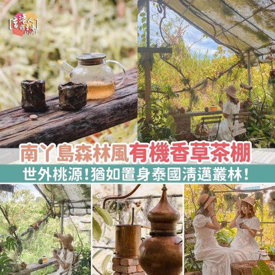 南丫島森林風有機香草茶棚.......
