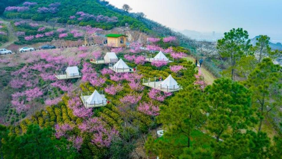 立體花海：長興城山溝......