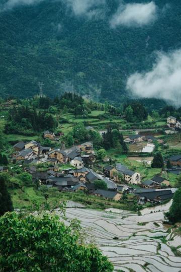 麗水雲和梯田 .......