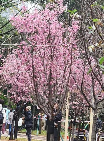 天水圍公園..........