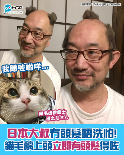 居住在富士山海拔1200公尺的日本大叔山口隆之，其實是一位愛貓如命的貓奴。而頭髮稀落的他，最近忽發奇想將貓毛收集起來放在頭上...