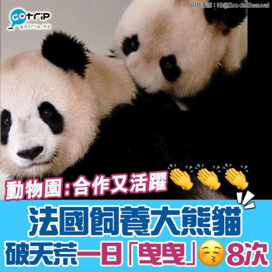 動物園指雙方的表現「合作且活躍」！...
