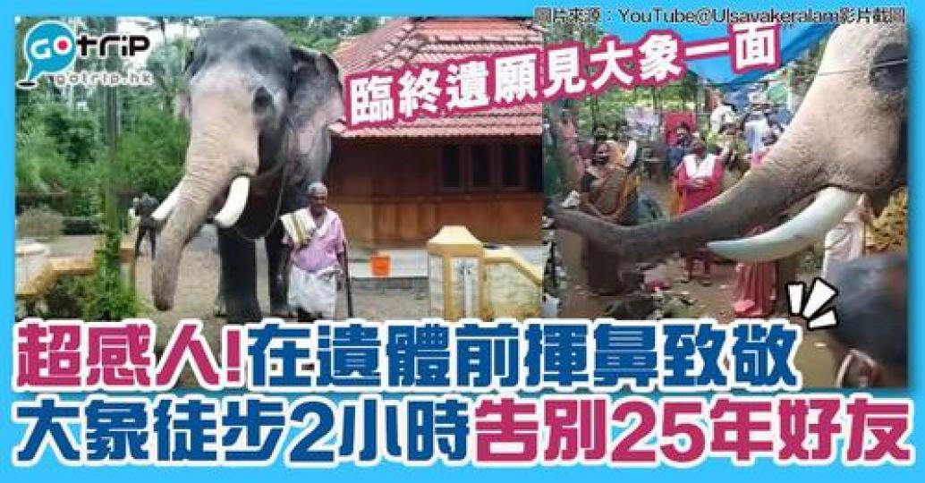 詳情： https://www.gotrip.hk/637400/...