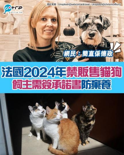 最近法國參議院近日壓倒性通過「廣泛動物權利法案」...