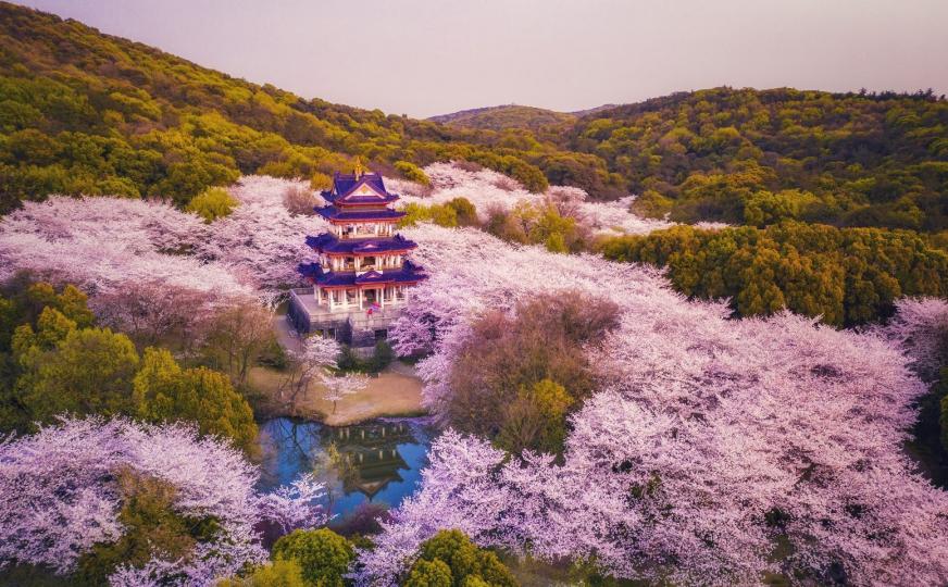 黿頭渚位於江蘇無錫的太湖之濱...