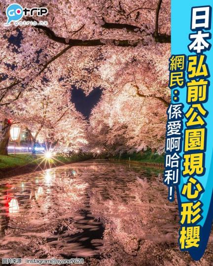 又到日本櫻花季啦！.......