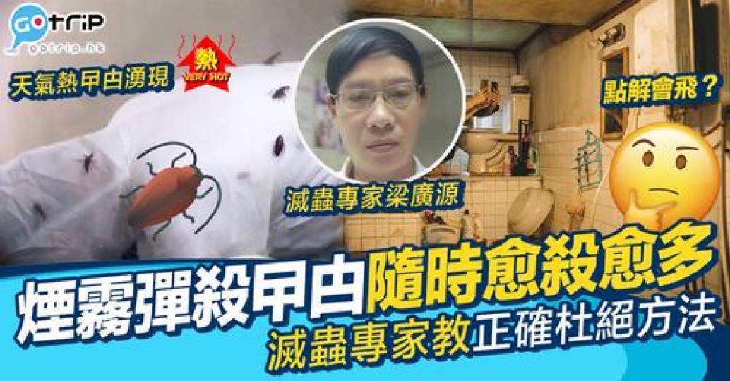 屋企呢排真係越嚟越多曱甴出現...