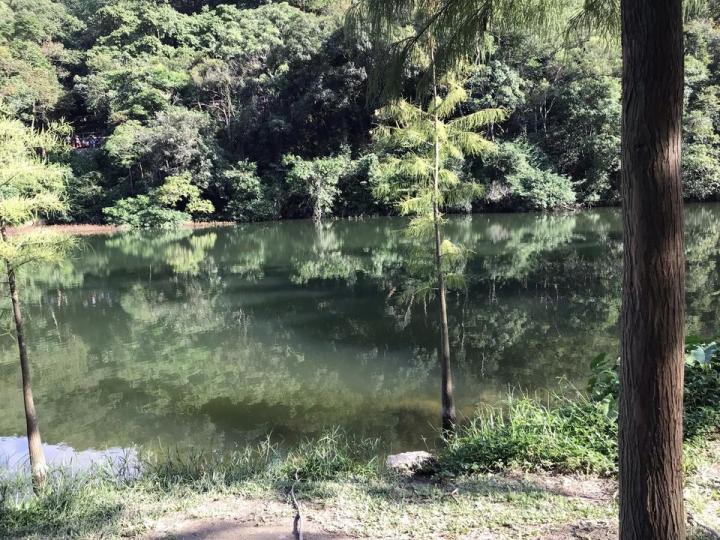 北區公園和流水響水塘一天遊...